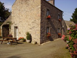 La cour